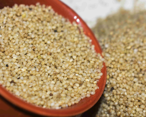 Barnyard Millet